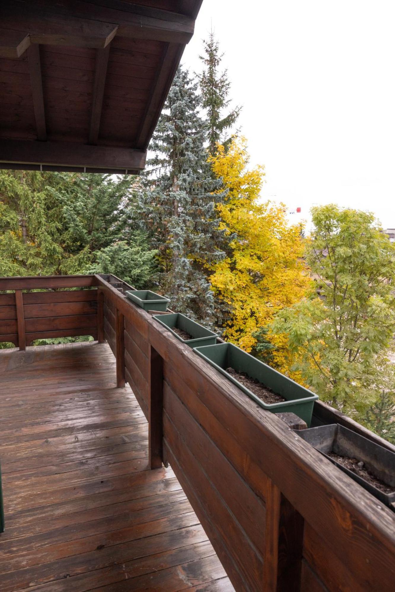 Casa Ca Dei Fiori A Due Passi Dal Centro Di Cortina Leilighet Cortina dʼAmpezzo Eksteriør bilde